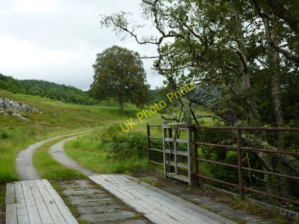 Photo 6"x4" Track up Glencalvie Amatnatua c2010