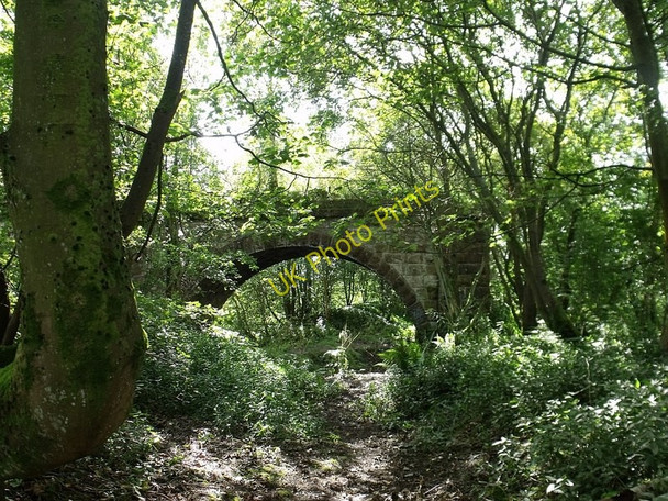 Photo 6"x4" Arches over the Glazert, Birdston Kirkintilloch c2010