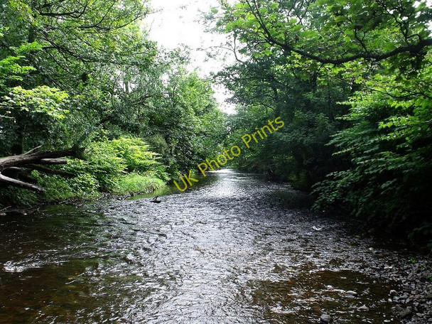 Photo 6"x4" Glazert Water, near Milton of Campsie Milton of Campsie c2010