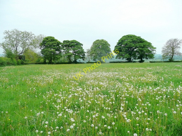 Photo 6"x4" Footpath through pasture Kniveton c2010