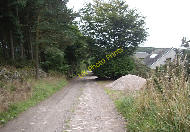 Photo 6"x4" Approach to Invermoriston Blacktop c2010