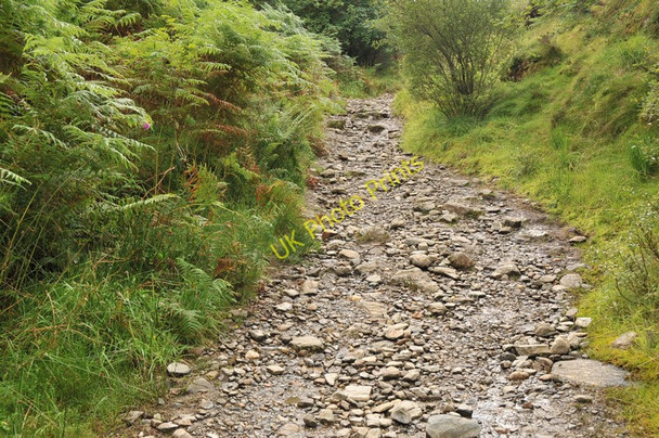 Photo 6"x4" West Highland Way near Ewich Crianlarich c2010