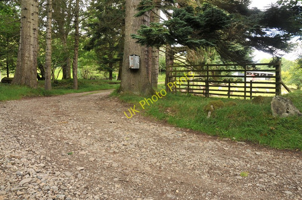 Photo 6"x4" Farm road to Tullich Tullich\/NN5136 c2010