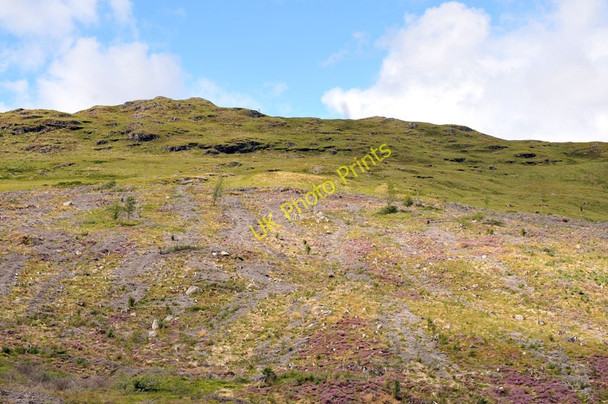 Photo 6"x4" Clear felled forest in Glen Lyon Cashlie c2010 P1