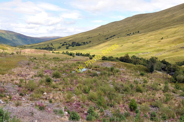 Photo 6"x4" Clear felled forest in Glen Lyon Gallin c2010
