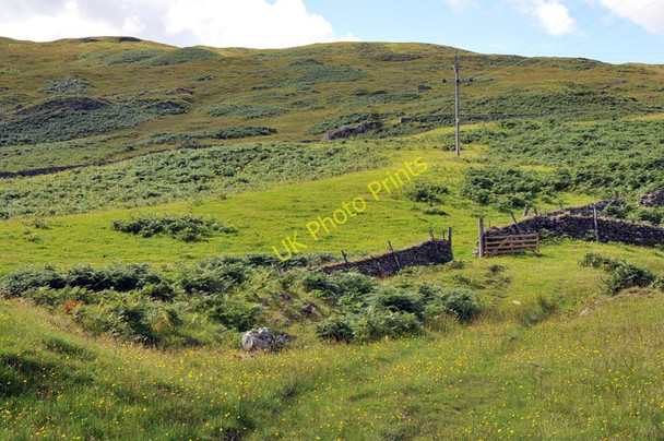 Photo 6"x4" Farmland in Glen Lyon Gallin c2010