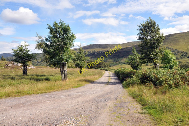 Photo 6"x4" Farm road to Moar Gallin c2010