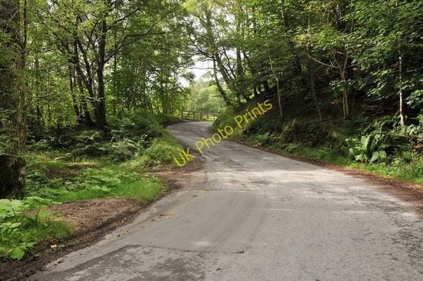 Photo 6"x4" Road through woodland in Glen Lyon Invervar c2010
