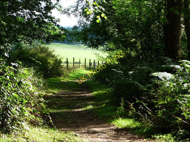 Photo 6"x4" Path beside Stansted Woods Forestside c2010 P1