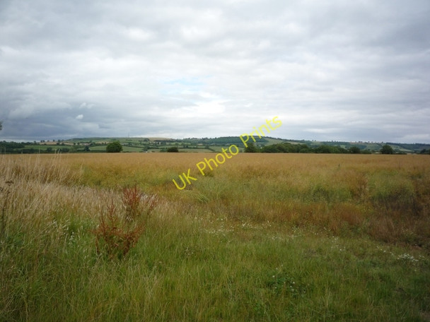 Photo 6"x4" Farmland near Thoralby Hall Bugthorpe c2010