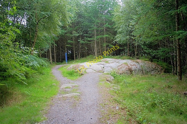 Photo 6"x4" Cycle Trail, Dalbeattie Palnackie c2010