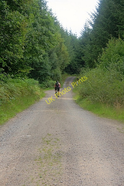 Photo 6"x4" Track, Moyle Hill Palnackie c2010