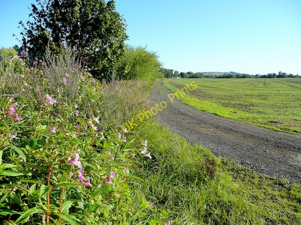 Photo 6"x4" Severn floodplain Maisemore c2010