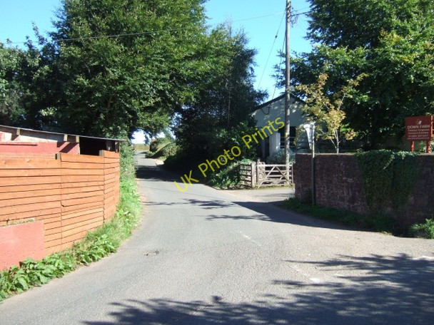 Photo 6"x4" Down Farm gates, Appledore Appledore\/ST0614 c2010