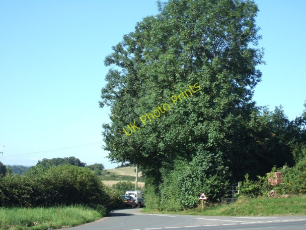 Photo 6"x4" Minor road into Appledore Appledore\/ST0614 c2010