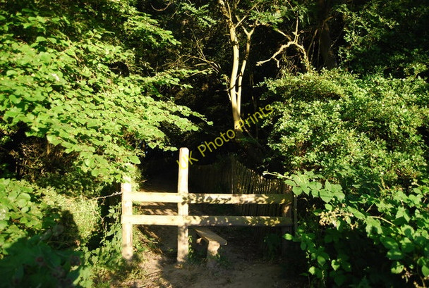Photo 6"x4" Greensand Way enters South Seer Wood Ivy Hatch c2010