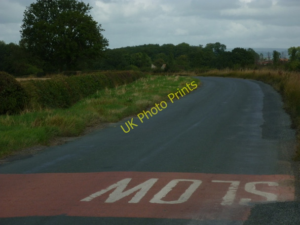 Photo 6"x4" A walk from Pickering #92 Muscoates c2010