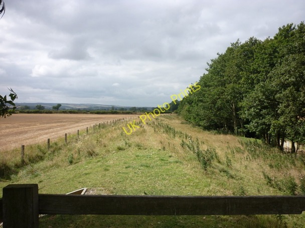 Photo 6"x4" A walk from Pickering #94 Muscoates c2010