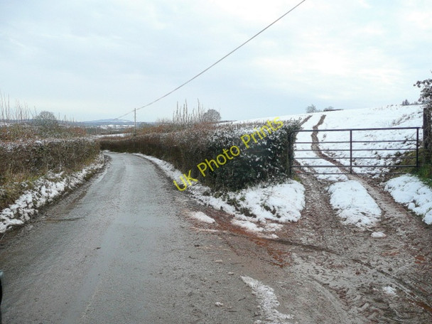 Photo 6"x4" Kempley Road, Much Marcle Lyne Down c2009