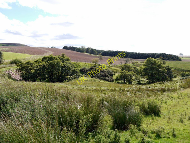 Photo 6"x4" Valley below duck pond, south of Beanley Beanley c2010
