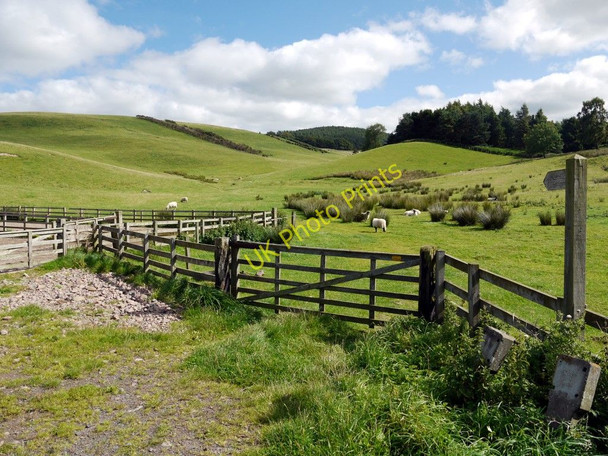Photo 6"x4" Public footpath to Beanley Plantation Beanley c2010