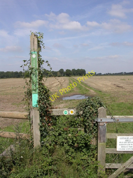 Photo 6"x4" Avon, footpath North Ripley c2010