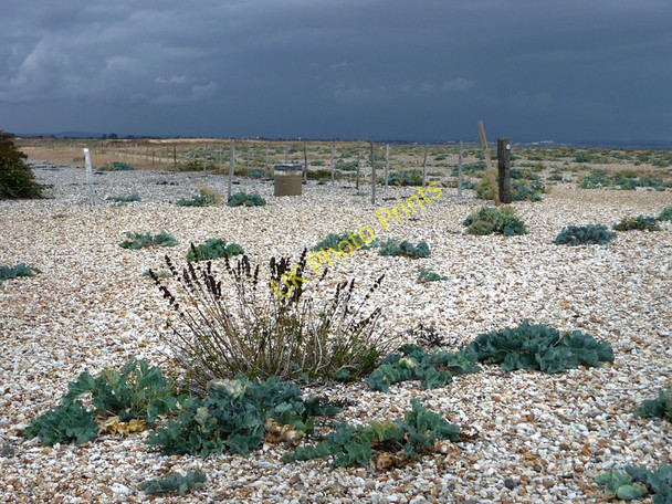 Photo 6"x4" Beach at Church Norton Church Norton c2010