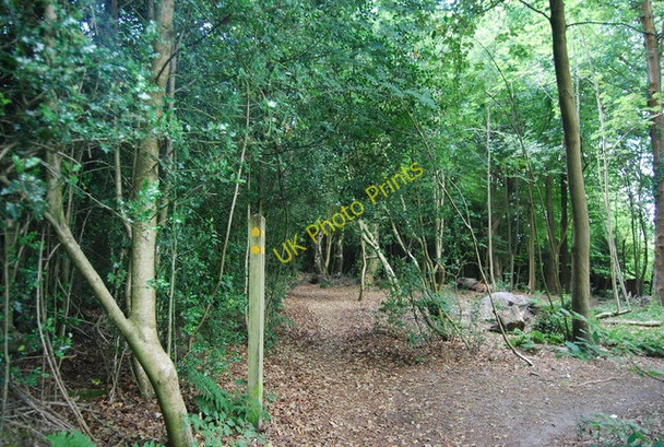 Photo 6"x4" Waymark on Marley Common Haslemere c2010