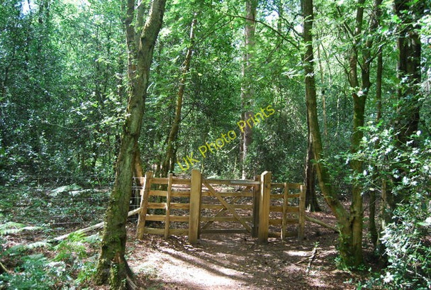Photo 6"x4" Gate across the path, Marley Common Haslemere c2010