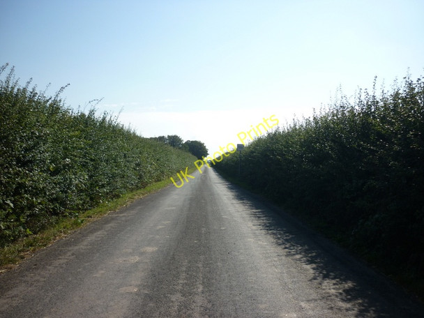 Photo 6"x4" South along Old Hall Road, Sunk Island Sunk Island c2010