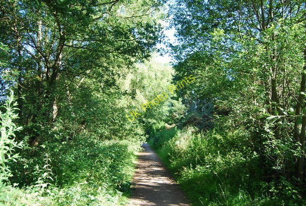 Photo 6"x4" The Downs Link, Run Common Grafham\/TQ0241 c2010