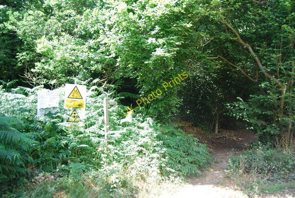 Photo 6"x4" Footpath off Sandy Lane Haslemere c2010