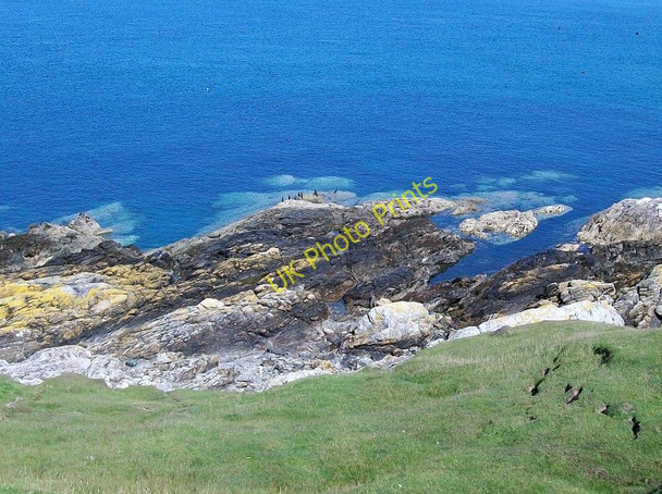 Photo 6"x4" Cormorants on flat rocks west of Porth Ysglaig Rhos-y-llan c2010