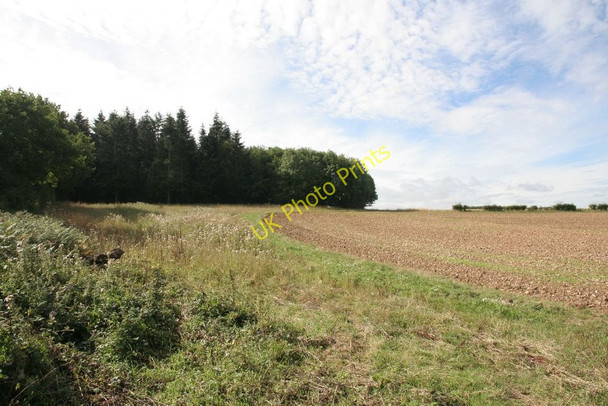 Photo 6"x4" Edge of the wood Ashampstead Green c2010
