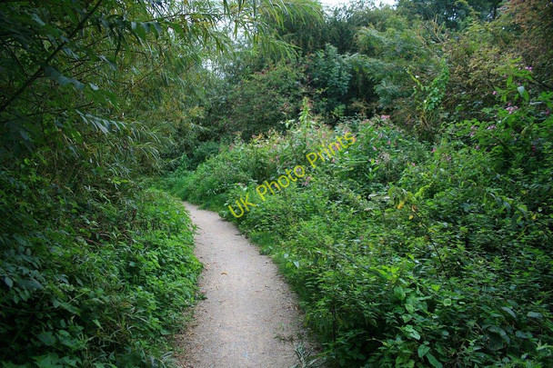Photo 6"x4" Path in the Attenborough reserve Beeston\/SK5236 c2010