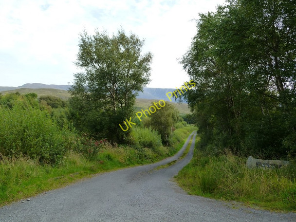 Photo 6"x4" Lane south of Drummin Drummin\/L9371 c2010