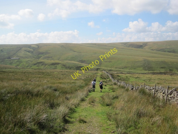 Photo 6"x4" Track leading to Wellhope Burn Limestone Brae c2010
