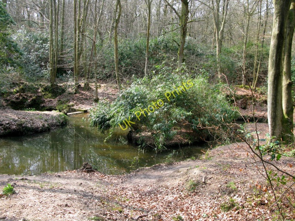 Photo 6"x4" Island in Mill Brook Chelwood Gate c2010