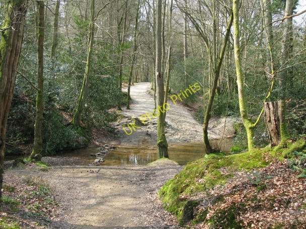 Photo 6"x4" Bridleway through Mill Brook Chelwood Gate c2010