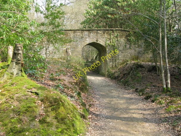 Photo 6"x4" Footbridge over a bridleway Chelwood Gate c2010