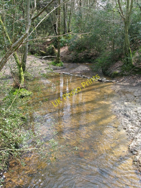 Photo 6"x4" Brook with bridleway across it Chelwood Gate c2010