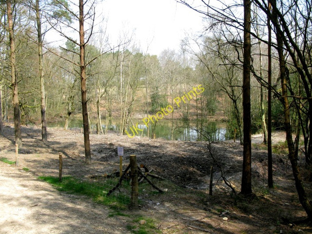 Photo 6"x4" Braberry Pond Chelwood Gate c2010