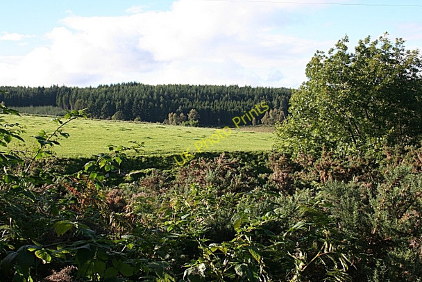 Photo 6"x4" Looking towards Slack Wood Upper Woodend c2010