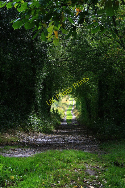 Photo 6"x4" Path to Benthall Hall Benthall\/SJ6602 c2010