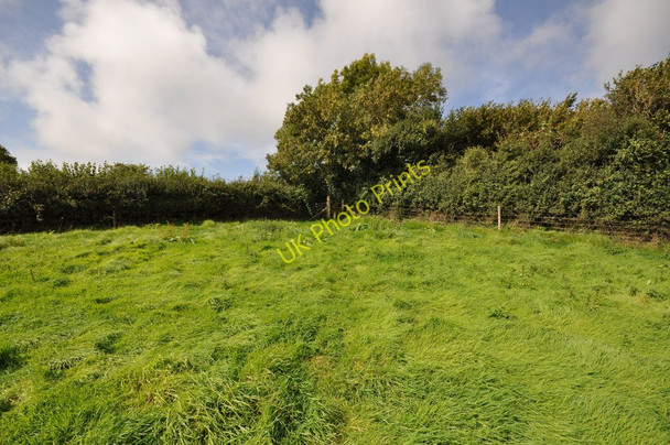 Photo 6"x4" Crossing a field from Blackwell woods towards Castle Lane Knowle\/SS4938 c2010