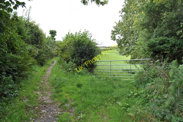 Photo 6"x4" Castle Lane heading north Knowle\/SS4938 c2010