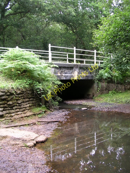 Photo 6"x4" Shepton Bridge, New Forest Furzey Lodge c2005