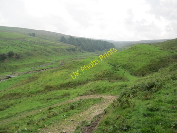 Photo 6"x4" Wellhope Burn Valley Limestone Brae c2010