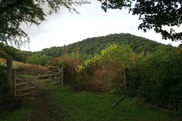 Photo 6"x4" Gate near Hungerdale Farm Benthall\/SJ6602 c2010