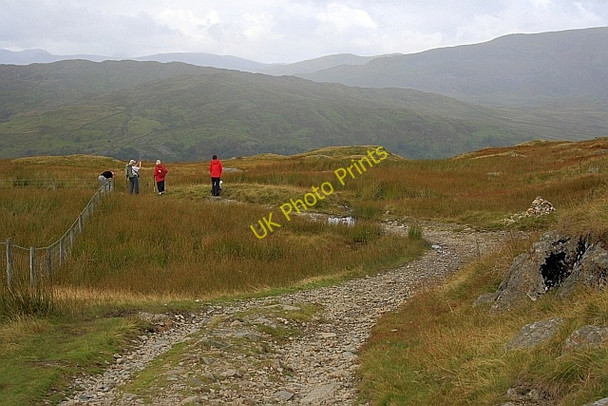 Photo 6"x4" Garburn Nook Kentmere c2010